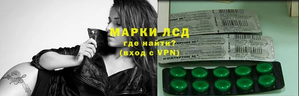 ПСИЛОЦИБИНОВЫЕ ГРИБЫ Няндома