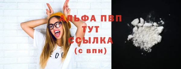 соль ск Новозыбков