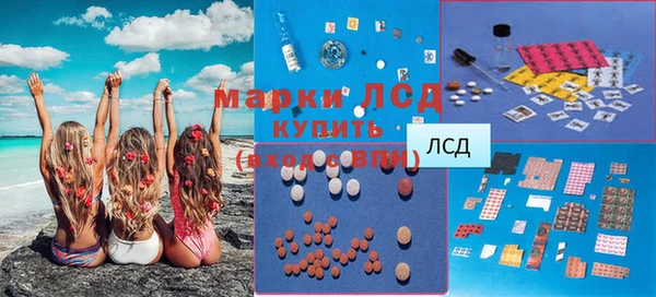 соль ск Новозыбков
